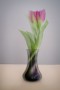 Michael-Hilton_Tulip-and-Vase
